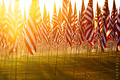 Freedom of 